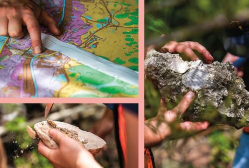 Read article Fossil Clues